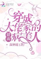 报告太子这个太子妃好眼熟免费阅读