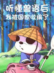 双翼飞机