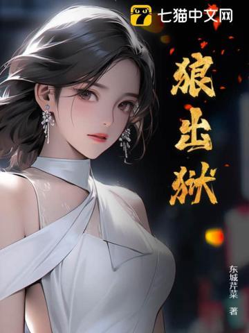 传奇警察故事