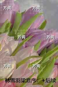 罪+拍档 飞熊