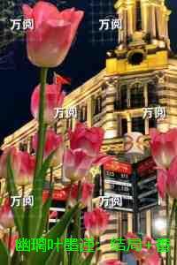 罪+拍档第二部