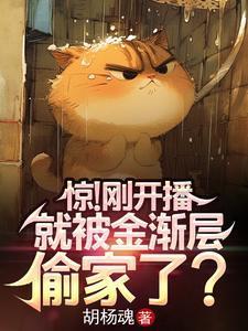 我的小王子在线观看