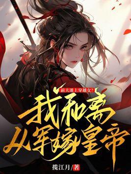 书名陆先生的心上人