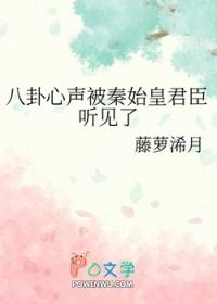 中州录百度txt