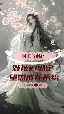 中州录TXT