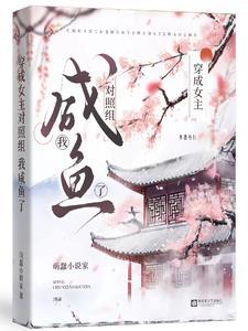 清穿葬礼王爷很快乐作话
