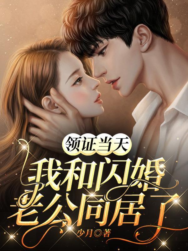 婢女惑君心免费阅读