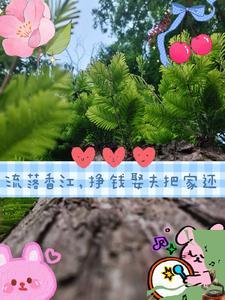 带着粮铺混饥荒最新章节