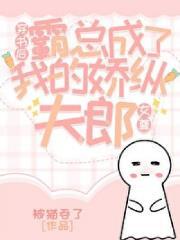 年代大佬文