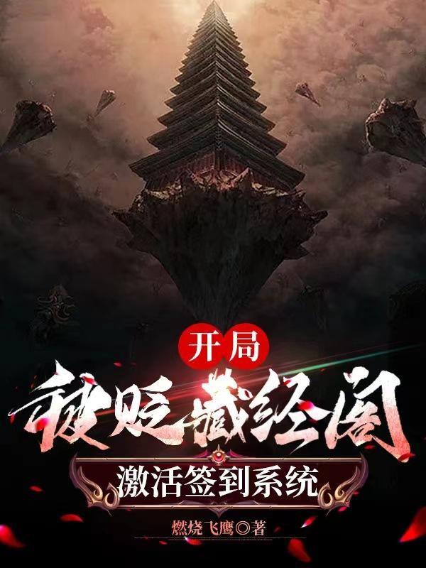 战地摄影师手札帝书阁
