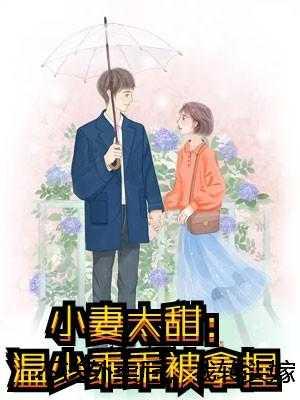 主母当家电视剧演员表