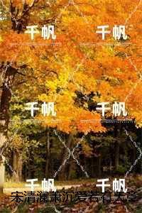 宋清澜萧沉